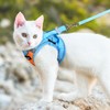 Dooradar Cat Harness and Leash Set, Escape Proof Lightweight Kitten