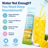 Sea Moss Electrolytes Powder Packets, Zero Sugar Hydration Drink Mix