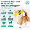 Doggie Dailies Probiotics for Dogs - Advanced Dog Probiotics with