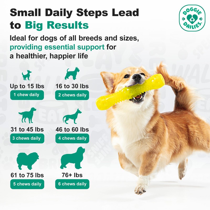 Doggie Dailies Probiotics for Dogs - Advanced Dog Probiotics with