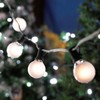 Novelty Lights 25 Pack G40 Frosted White Outdoor Globe Bulbs,