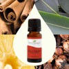Plant Therapy Germ Fighter Essential Oil Blend Pure, Natural Aromatherapy,