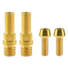 Wanyifa Titanium Ti Bolts Bicycle Post V Brake Bosses M10x1.25mm & M6x16mm Screws (Gold)