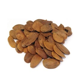 Panacea Natural Akuamma Extract capsules - 500mg- 50 Count