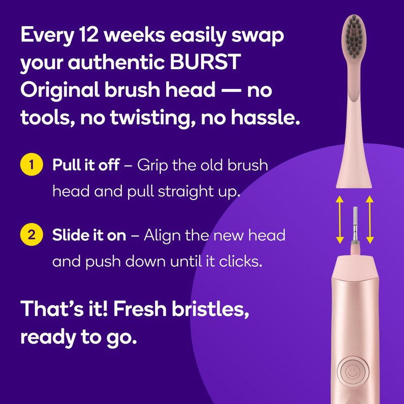 BURST Genuine Replacement Heads for Original Sonic Electric Toothbrush (Rose