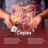 Probióticos y Prebióticos Simbióticos 50 Billones UFC, 10 Cepas BIOFLORA