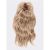 Prosecco Ponytail 10" Medium Length Color Dark Brown - Ellen