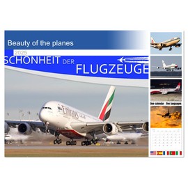 Beauty of the planes (Monthly Wall Calendar 2025 16.5" x 23.4" (open)), CALVENDO 14 Month Calendar
