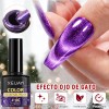 Brillo Reflectante 9d Esmalte Ojo Gato Gel Ojo Gato Diamante