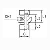 Inch Screw Fitting with Soft Seal GE10LR1/4-ED OMD