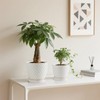 Docrin 2 Pack of 5.2 Inch White Ceramic Plant Saucer,Indoor