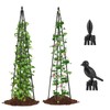 AlisisFores 2 Pack Garden Trellis for Climbing Plants Outdoor,63inch Tall
