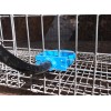 RNL RabbitNippLes.com 10Pcs Rabbit Watering Cup Drinking Feeder Bowl waterer
