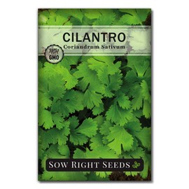 Sow Right Seeds - Cilantro Seeds for Planting - Non-GMO Heirloom Packet with Instructions to Grow a Kitchen Herb Garden - Great Addition to Your Cooking - Make Coriander Seasoning - Zesty Herb (1)