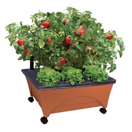 The Emsco Group 2340 Patio Box Planter