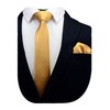 GUSLESON 2.4" Slim Necktie and Handkerchief Set For Men Solid