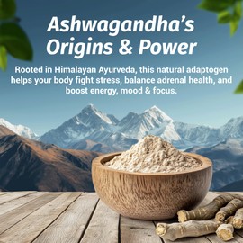 1 Body Ashwagandha Complex with Shoden® – Clinically Supported Stress Relief, Sleep, and Energy Support – Vegan, Non-GMO Supplements – 60 Capsules