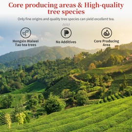 CHADUODUO Tie Guan Yin Oolong Tea Loose Leaf High Mountain Iron Goddess Of Mercy Tea Fujian Anxi Gaoshan Ulong Tea Belong to Pure Hongxin Waiwei Tao Cultivar Orchid Aroma 150g 5.3oz 乌龙茶 安溪铁观音