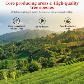 CHADUODUO Tie Guan Yin Oolong Tea Loose Leaf High Mountain Iron Goddess Of Mercy Tea Fujian Anxi Gaoshan Ulong Tea Belong to Pure Hongxin Waiwei Tao Cultivar Orchid Aroma 150g 5.3oz 乌龙茶 安溪铁观音
