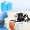 Extra Large Puppy Pads,36"x36" Pee Pads for Dogs,50 Count Training