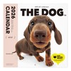 THE DOG 2026 Wall Calendar, Mini Size, Dachshund