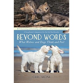 Beyond Words: What Wolves and Dogs Think and Feel (A Young Reader (Beyond Words, 2)
