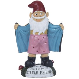 Funny Garden Gnome Statue Resin Gnomes Figurines SAY Hello to My Little Friend Indoor Ornament Gift Outdoor Garden Decorations for Home Patio Yard Lawn Porch (Blue)