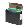 VIQUEL - Filing Box A4 Filled with 5 Removable PROPYGLASS