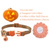 BoomBone Fall Cat Collar with Bell and Pumpkin Charm