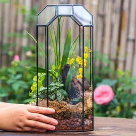 NCYP Open Glass Geometric Terrarium for Plant, Succulent, Cacti - 5.5"x5.5"x12.8" - Indoor Tall Octagon Planter, Home Garden Office Vintage Decoration, Micro Landscape (Terrarium Only)