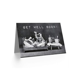 Wee Blue Coo GET WELL SOON LITTLE FOLK OF ANIMALS CAT ART BLANK GREETINGS CARD