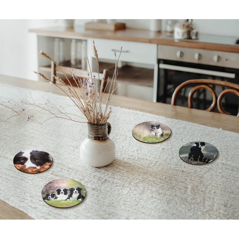 4 x Round Border Collie Coasters - Sheep Dogs Pets