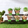 Gueevin 50 Pack Garden Paper Pot Craft Kit Flower Plant