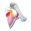 Earth Sky + Water - Roseate Spoonbill - 3.5_ Sticker
