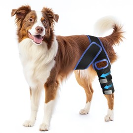 RUXAN Dog Knee Brace, Dog Leg Braces for Back Leg for Support, ACL Hind Leg Cruciate Ligament Knee Brace for Dogs Rear Leg with Torn ACL Keep The Joint Pain and Muscle Sore-M