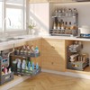 1-Pack Under Sink Organizers and Storage,2-Tier L Shape Pull Out