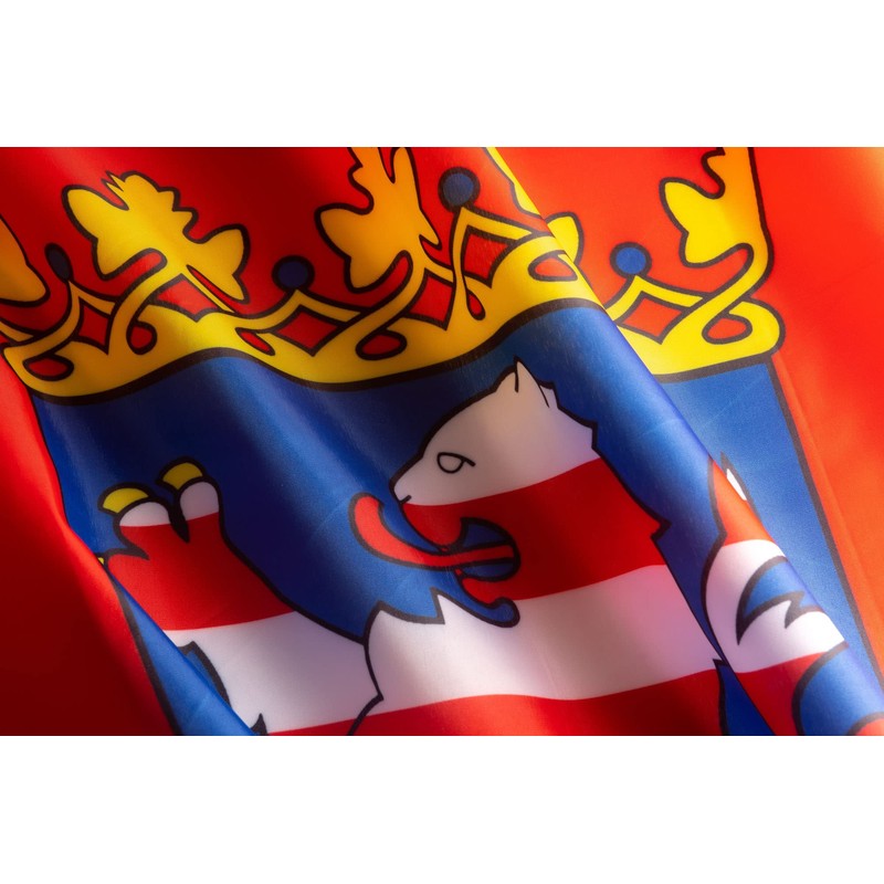 PHENO FLAGS Hesse Flag - Federal State Flag with Brass