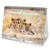 Tierkinder Predatory Cats DIN A5 Desk Calendar for 2026 Various