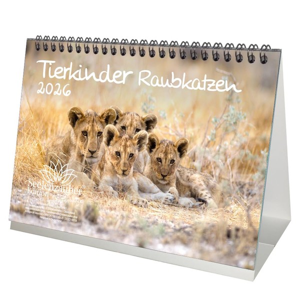 Tierkinder Predatory Cats DIN A5 Desk Calendar for 2026 Various