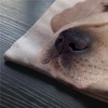 BGBDEIA Dog Lumbar Cushion Cover 30X50cm 12x20 Inch Decorative Bedroom