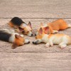 (moin moin) Dog, Dog, Fluffy, with Bed, Dog, Realistic Figure,