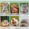 COTELEEC 2 PCS Rabbit Grass Mats, Natural Straw Hay Woven