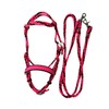pony bitless bridle horse tack side pull hackamore pink and