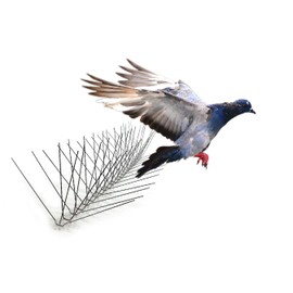 Bird-X Stainless Steel Bird Spikes, 8-inch Extra-Wide Spikes, Bird Spikes for Pigeons and Other Small Birds, Easy to Install, Contains 2 ft. Strips, Covers 24 Linear Feet Area, EWS-24