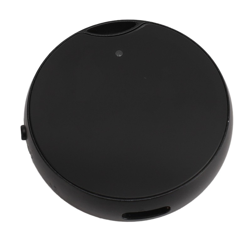 Magnetic Voice Recorder DSP Noise Reduction Long Recording Time Timestamp