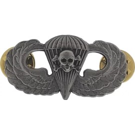 US ARMY Parachutist Paratrooper Skull Bones Jump Wings Death from ABOVE Pin