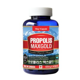 통라이프 () 프로폴리스 맥스골드(500mgx180캡슐-6개월분) 1병 Tonglife Propolis Max Gold (500mg x 180 Capsules - 6 Month Supply) 1 Bottle