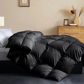 Does Not Apply  Size Feather Down Fiber Comforter - All Season Black Twin Black/All Season