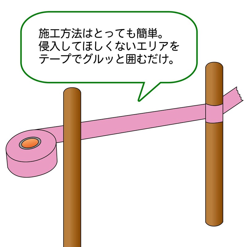 Home Chemical Rye Grass No. Tape 30 mm X 10