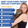 Taurine Drops for Cats – Liquid Taurine Supplement for Eyesight,